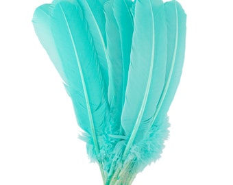 Mint Green Dyed Turkey Quill Feathers, Bulk Turkey Quills 8-12” for Cosplay, Carnival, Costume, Millinery, Arts & Crafts ZUCKER®