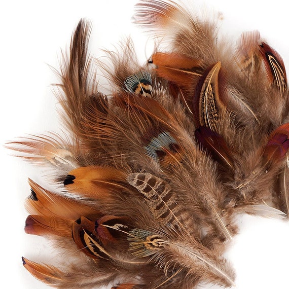 Pheasant Feathers, Natural Assorted Pheasant Plumage, Loose Short