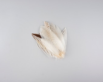 Silver Pheasant Tail Feathers, Natural White with Black Stripes, 6-8 inch 12 pieces