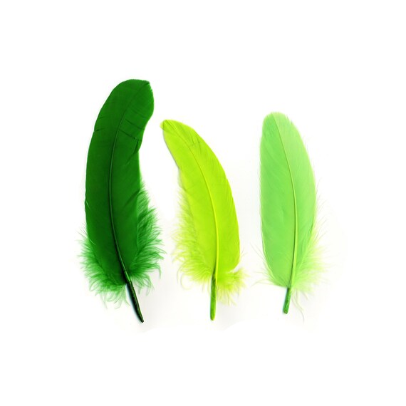 Goose Satinette Feathers, 4-6 Green Grass Mix Loose Goose Feathers,  Assorted Green Feathers, Small Feathers, Art and Craft Supplies ZUCKER® 