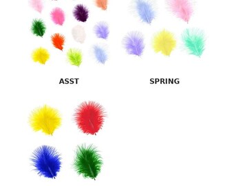 May include: Assorted colorful feathers in red, pink, green, orange, purple, white, and blue. The word "ASST" is printed below the assortment. The word "SPRING" is printed below a group of pastel feathers. The word "VIBRNT" is printed below a group of vibrant feathers.