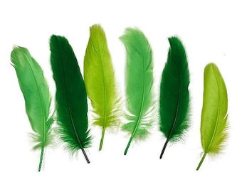 May include: A set of seven green feathers with varying shades of green, from light to dark. The feathers are arranged in a row, with the lightest feather on the left and the darkest feather on the right.