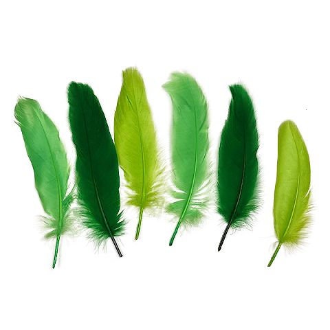 Goose Satinette Feathers, 4-6 Green Grass Mix Loose Goose Feathers,  Assorted Green Feathers, Small Feathers, Art and Craft Supplies ZUCKER® 