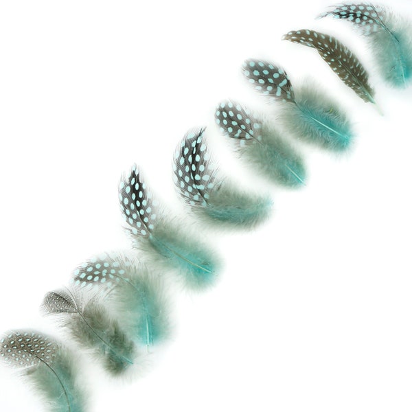 Guinea Feathers, Dyed Light Turquoise 1-4” Guinea Hen Polka Dot Loose Plumage Feathers & Craft Supply ZUCKER®