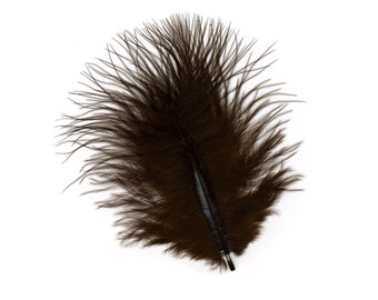 May include: A single brown ostrich feather with a long, thin shaft and soft, fluffy plumes.