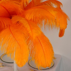 Large Ostrich Feathers 17-25&quot;, 1 to 25 Pieces, MANGO Orange, Wedding Centerpieces, Millinery, Renaissance Festival, Carnival Feather ZUCKER®