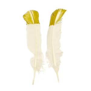 White & Gold Metallic Tipped Turkey Round Feathers 2 pieces For Cultural Arts and Crafts, Carnival and Costume Design ZUCKER®