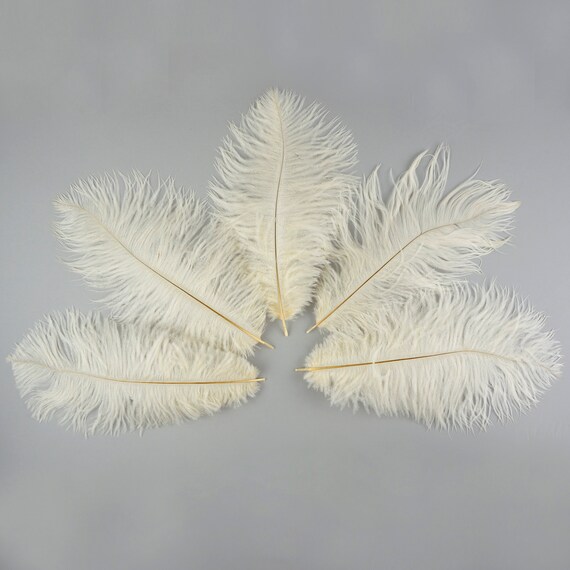 ZUCKER Ostrich Feathers for Centerpieces - Wedding Decorations - Bulk  Feathers for Crafts, 1/4 Pound (Approx 60 pcs), 13-16 inch, Beige