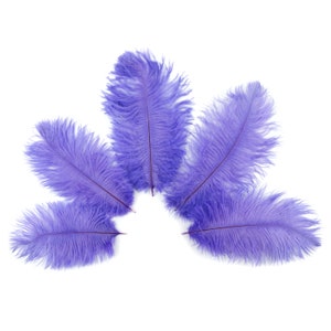 Bulk Ostrich Feathers 4-8" LAVENDER, Mini Ostrich Drabs, Bouquets, Boutonnieres, Small Centerpieces ZUCKER® Dyed and Sanitized USA