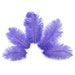 see more listings in the Ostrich Feathers section