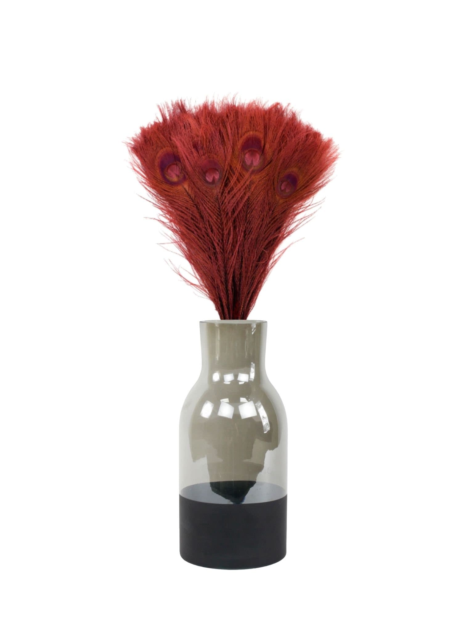 Burgundy Peacock Feathers & Vase Set Smoke Gray with Black Etsy