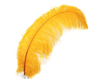 May include: A single, vibrant yellow feather against a white background. The feather is curved, with a central stem and soft, flowing barbs. The color is a bright, sunny yellow, and the feather appears to be in good condition.