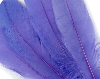 Lavender Goose Feathers, 6-8", Craft Supplies 200 pieces