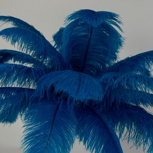 Large Ostrich Feathers 17-25”, 1 to 25 Pieces Prime Ostrich Femina Wing Plumes Dark TURQUOISE, Wedding Centerpiece, Carnival Feather ZUCKER®