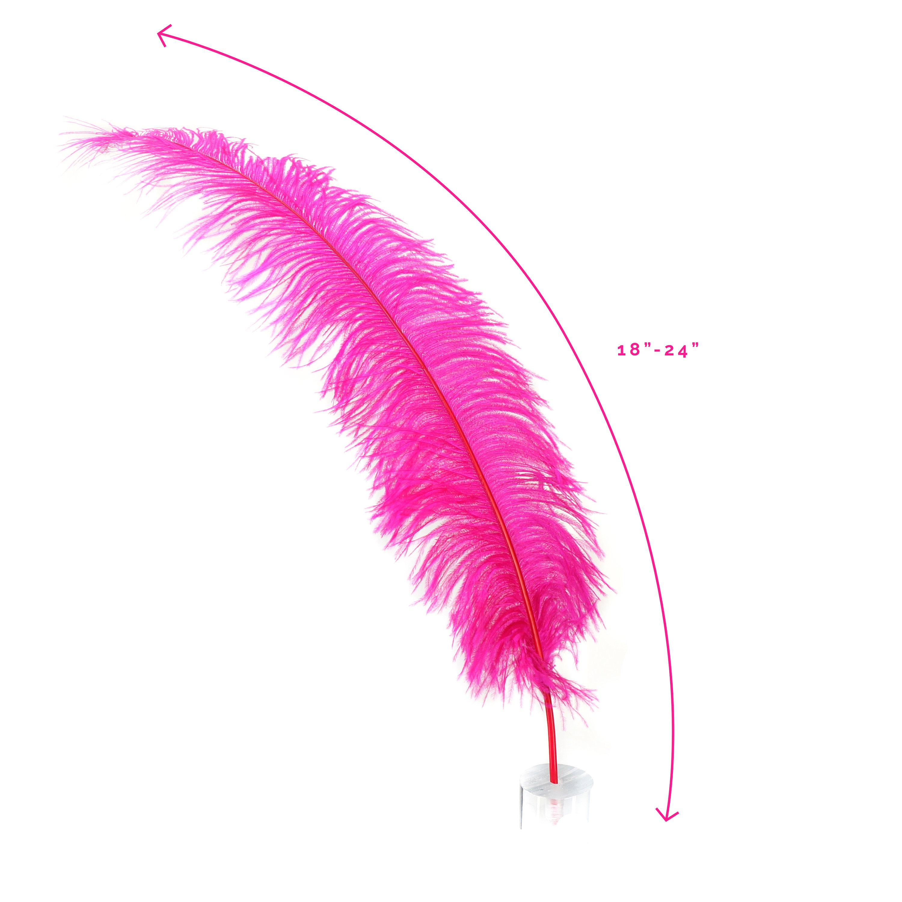 Ostrich Feathers, Shocking Pink Ostrich Feather Spads 1824