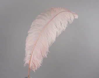 X-Large Ostrich Feather, Pink Champagne, 24-30" Millinery, Wedding Centerpiece 1 piece