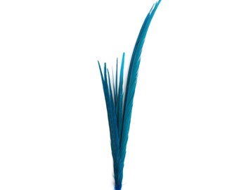Long Dark Turquoise Pheasant Feathers, 16-30 inch Bleach Dyed Ringneck & Golden Assorted Pheasant Tail Feathers 10 Pieces