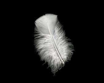 Turkey Feathers, White  Loose Turkey Plumage Feathers, Short T-Base Body Feathers for Craft and Fly Fishing Supply ZUCKER®