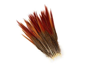 Golden Pheasant Feathers, 100PCS 8-10" Natural  Pheasant Red Tip Loose Feathers For Crafting and Art Supplies ZUCKER®