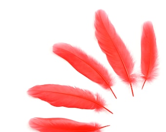 Goose Satinette Feathers, 4-6" Hot Orange Loose Goose Feathers, Small Feathers, Art and Craft Supplies ZUCKER®