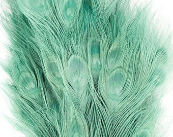 Peacock Feathers, 5 to 100 Pieces, Light TURQUOISE Bleached Dyed Tails, Turquoise Dyed Peacock Feathers ZUCKER®