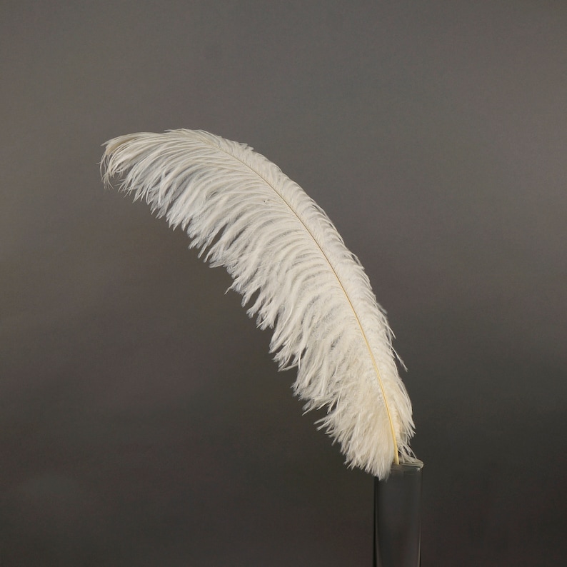 Ostrich Feathers 1720 IVORY 1 to 25 Pcs Ostrich Etsy
