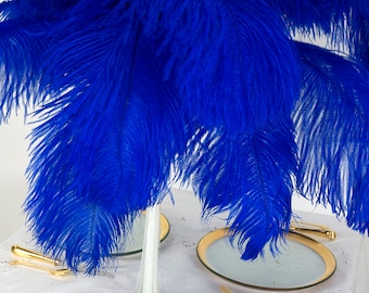 May include: A bunch of bright blue ostrich feathers arranged in a vase. The feathers are soft and fluffy, and they would make a beautiful centrepiece for a party or wedding.