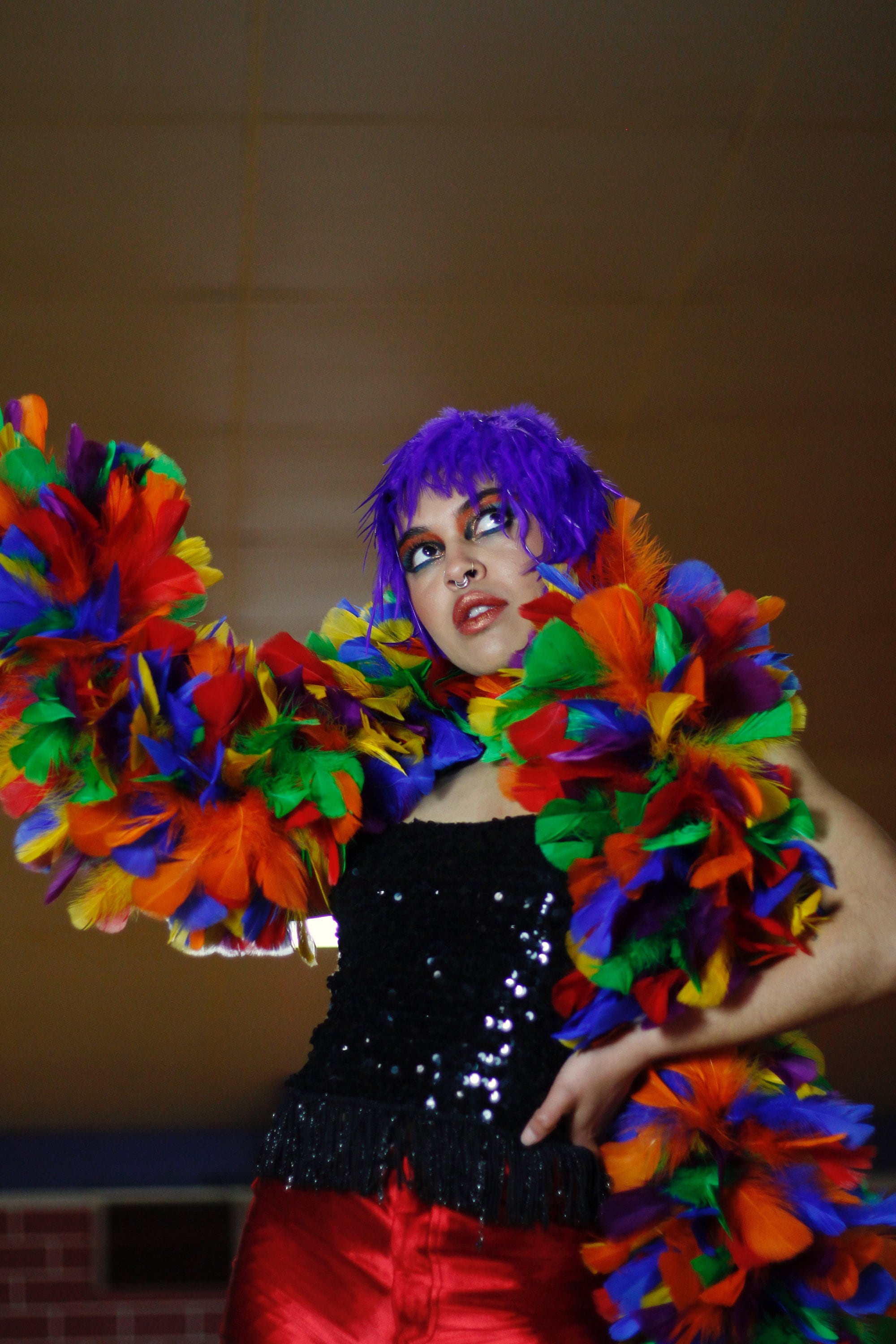 Large Rainbow Feather Boa, PRIDE Parade Feather Boa, Feather Boa