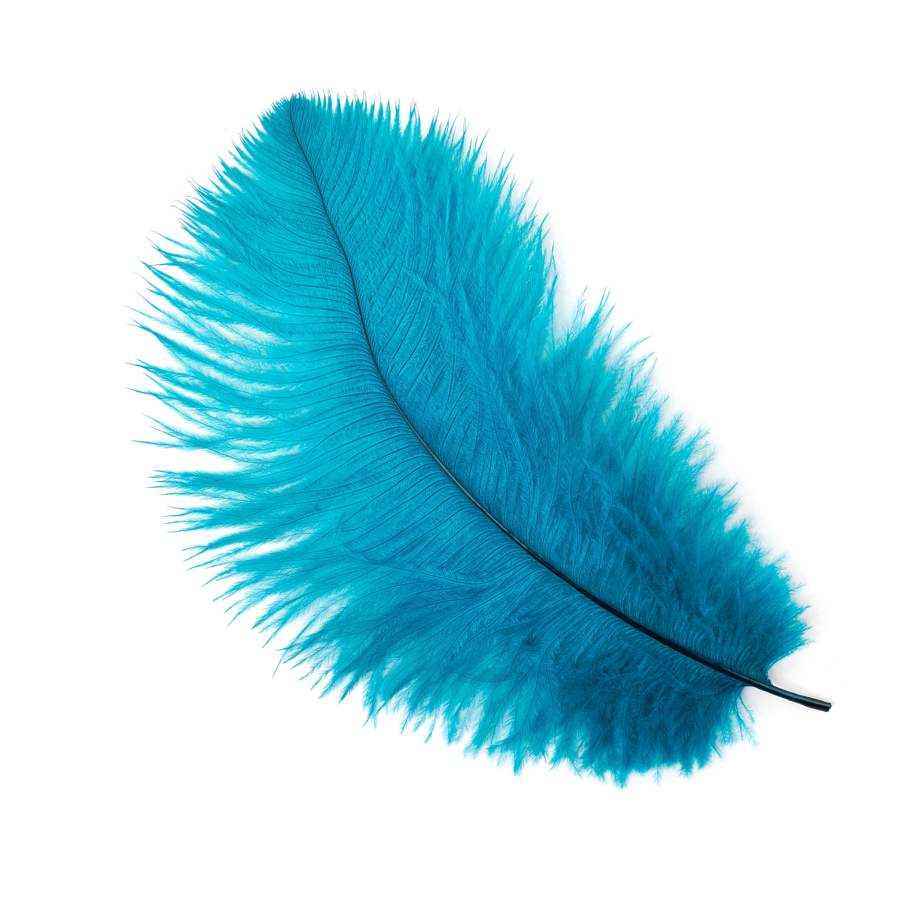 Ostrich Feathers 48 Dark AQUA, Mini Ostrich Drabs, Floral Bouquets
