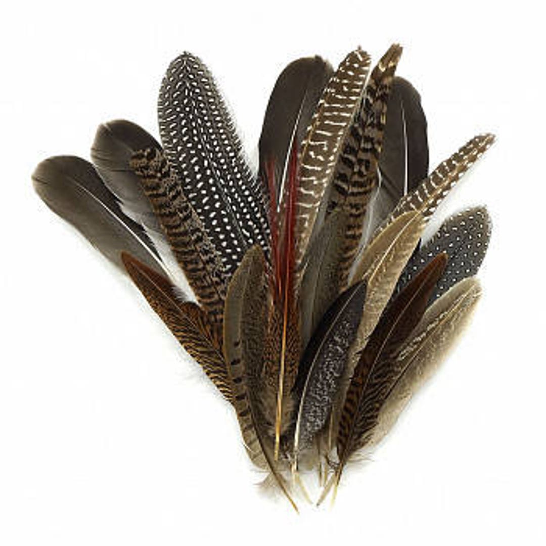 Soft Natural Guinea Fowl Spotted Feathers Crafts 5-10cm Chicken