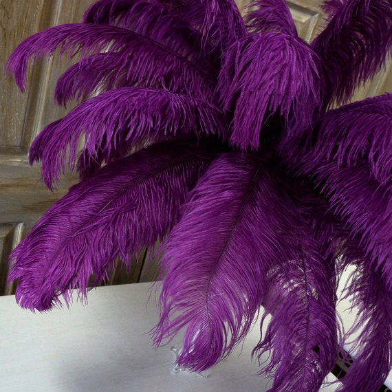 12 Pcs Mardi Gras Ostrich Feathers for Crafts-10 Inches Green Purple Gold  Natural Ostrich Bulk Feathers for Mardi Gras DIY Crafts Party Decorations