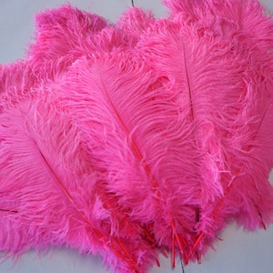 Ostrich Feathers 17-20 PINK Orient, 1 to 25 Pcs, Ostrich Plumes ...