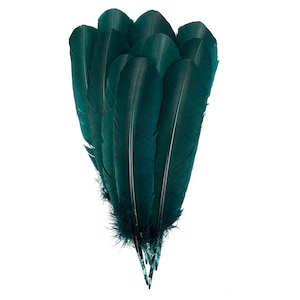 Plumas Turquía salvaje, natural Barred Quills 8-12” teñido candente por Sombrerería, colectores ideales, artes manuales, Decoraciones