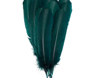 Hunter Green Dyed Turkey Quill Feathers, Bulk Turkey Quills 8-12” for Cosplay, Carnival, Costume, Millinery, Arts & Crafts ZUCKER®