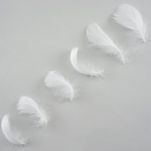 Goose Coquille Feathers, 3-5&quot; White Loose Goose Feathers, Small Feathers, Arts and Craft Supplies ZUCKER®