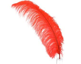 X-Large Ostrich Feathers 24-30", 1 to 25 Pieces, RED, For Wedding Centerpieces, Party Decor, Millinery, Carnival, Costume ZUCKER®