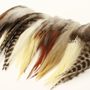 Natural Loose Rooster Saddle Feathers, BULK 3-6&quot; Assorted Rooster Saddle Feathers For Fly Fishing Tying, Craft & Art Supply ZUCKER®