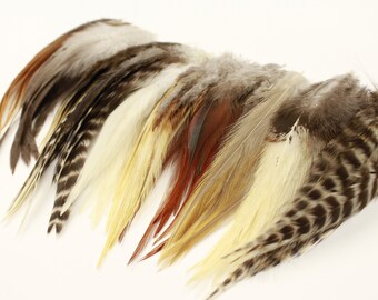 Rooster Feathers