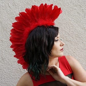 May include: A red feather headdress with a mohawk style. The feathers are arranged in a pointed shape and are all the same size. The headdress is worn by a person with dark hair.