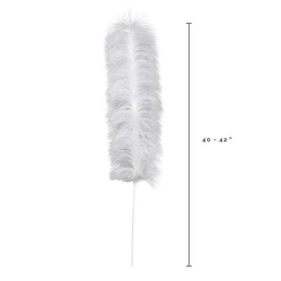Colored Faux Ostrich Feathers (10 Pcs) - Life Changing Products