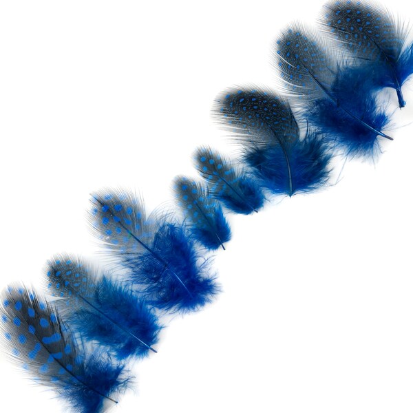 Guinea Feathers, Dyed Royal Blue 1-4” Guinea Hen Polka Dot Loose Plumage Feathers & Craft Supply ZUCKER®