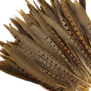 May include: A collection of brown and tan feathers with intricate patterns and textures. The feathers vary in size and shape, with some displaying dark spots and stripes. The overall arrangement suggests a natural, organic theme, suitable for crafts or decorative purposes.
