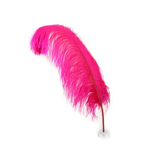 X-Large Ostrich Feathers 24-30", 1 to 25 Pieces, SHOCKING Pink, For Wedding Centerpieces, Party Decor, Millinery, Carnival, Costume ZUCKER®