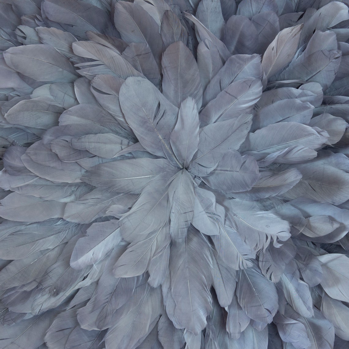 Medium Unique Decorative Feather Wall Art Feather Art Etsy