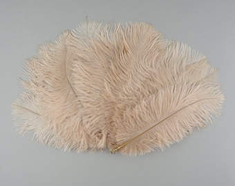 BEIGE, Ostrich Drabs 9-12" , Centerpiece Floral Supplies, Carnival & Costume Feathers ZUCKER®Dyed and Sanitized USA