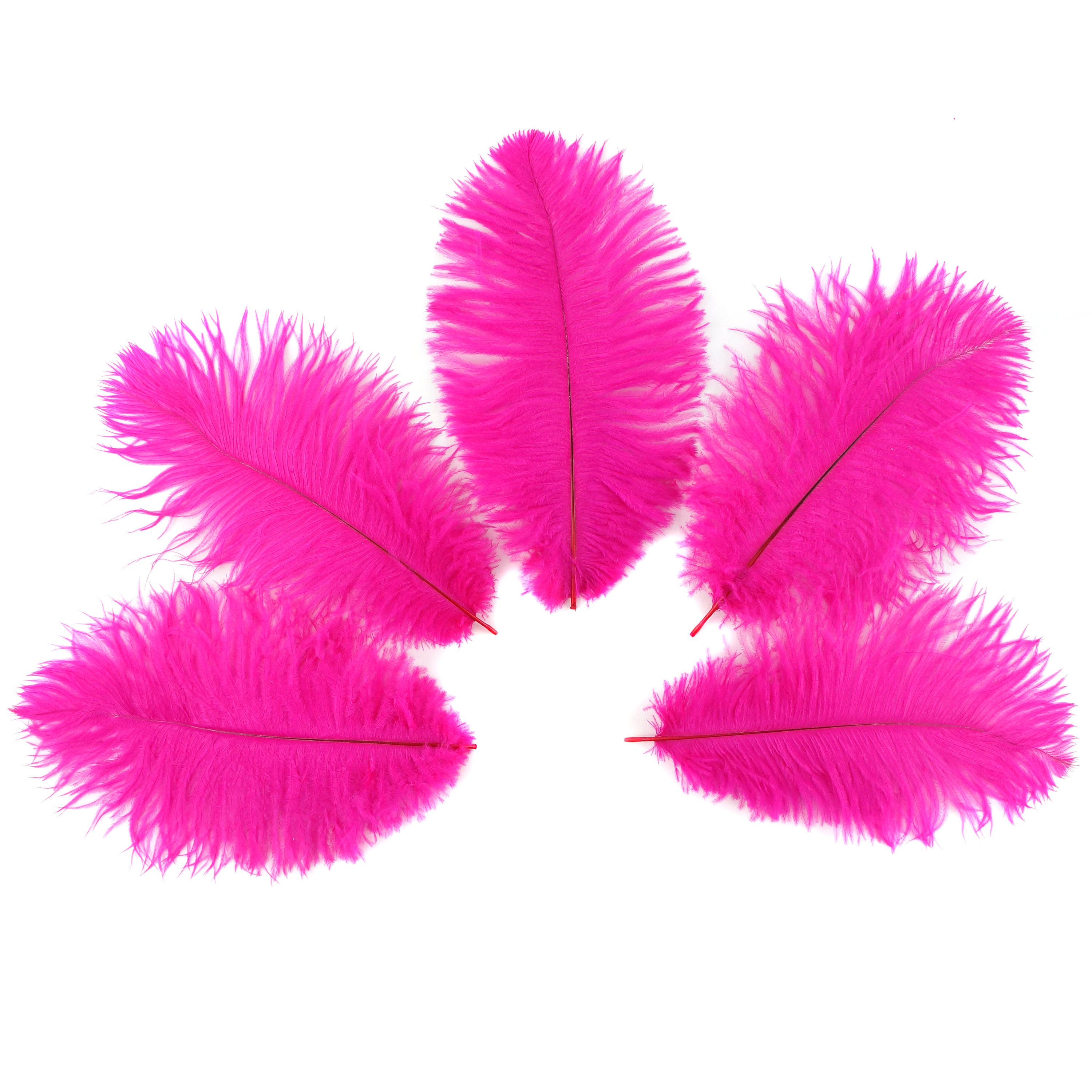 Ostrich Feathers 9-12 Shocking Hot PINK, Ostrich Drabs, Centerpiece ...