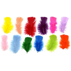 Turkey Feathers, Rainbow Mix Loose Turkey Plumage Feathers, Short T-Base Body Feathers for Craft and Fly Fishing Supply ZUCKER®