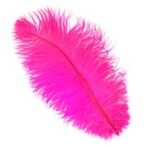Ostrich Feathers 13-16 SHOCKING PINK for Feather Centerpieces, Party ...