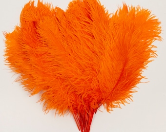 Orange Ostrich Feather Tips, 16-18" Ostrich Tails 30 Pieces for Millinery & Floral Design, DIY Costume, Carnival, Mardi Gras ZUCKER®