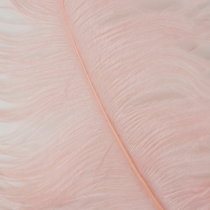 Large Ostrich Feathers 17-25”, 1 to 25 Pieces Prime Ostrich Femina Wing Plumes PINK Champagne, Wedding Centerpiece, Carnival Feather ZUCKER®